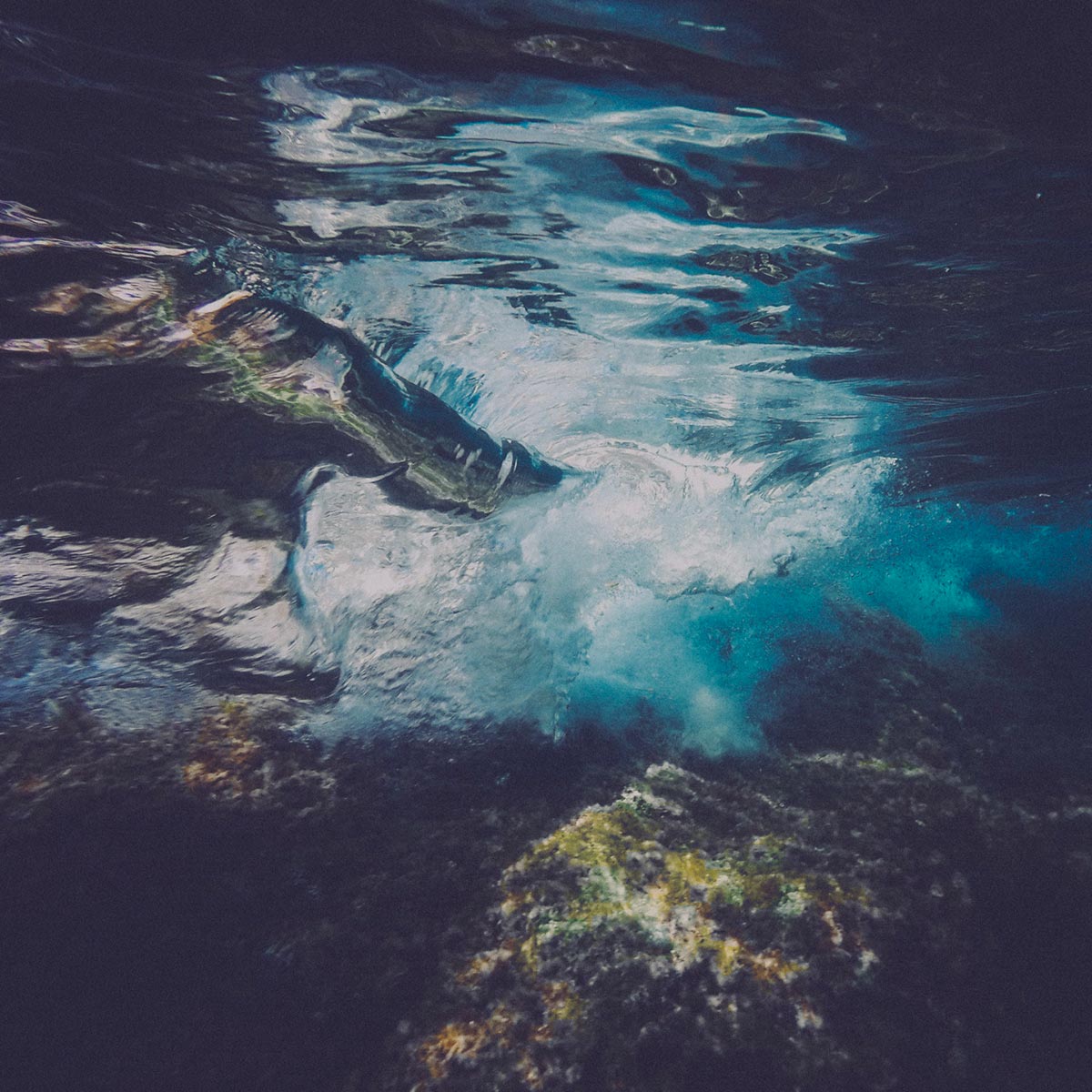 underwater essay